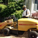 Tree Services by NYTreeMasters.com - Stump Grinding